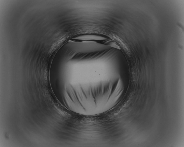 X0000091930489200710031101