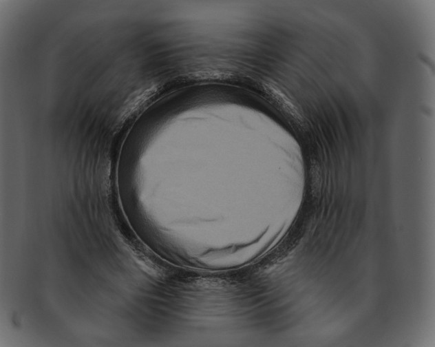 X0000091930490200710031101