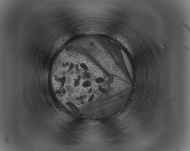 X0000091930491200710031101