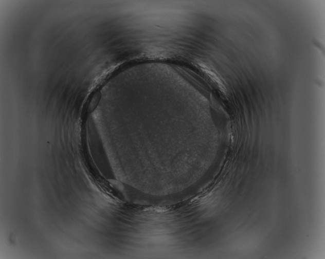 X0000091930492200710031101