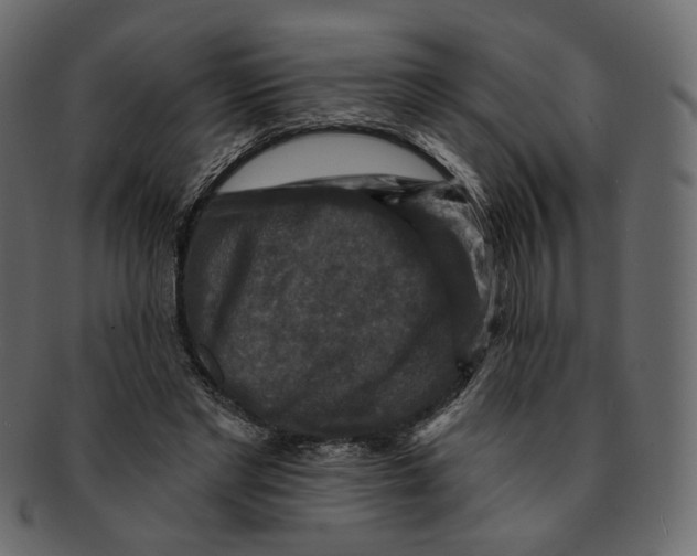 X0000091930493200710031101