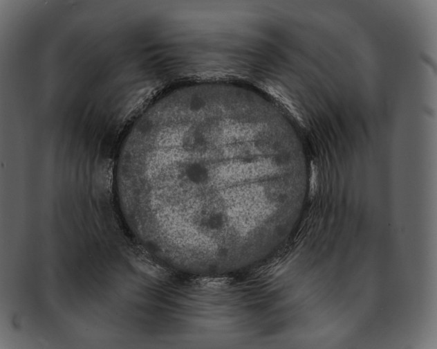 X0000091930495200710031101