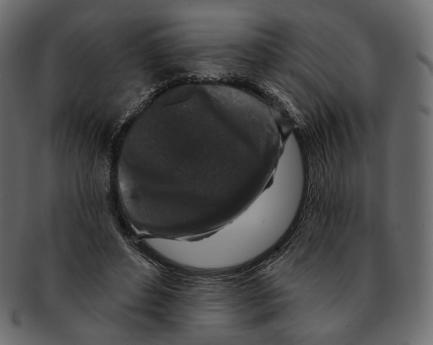 X0000091930496200710031101