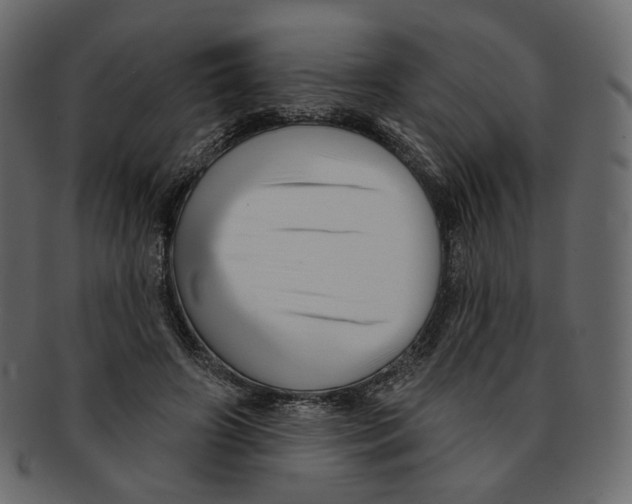 X0000091930498200710031101