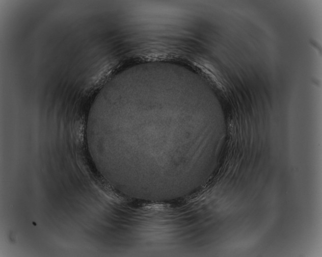 X0000091930499200710031101