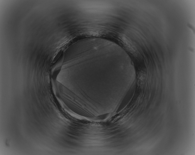 X0000091930500200710031101