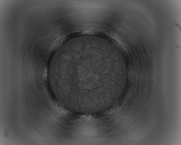 X0000091930502200710031101