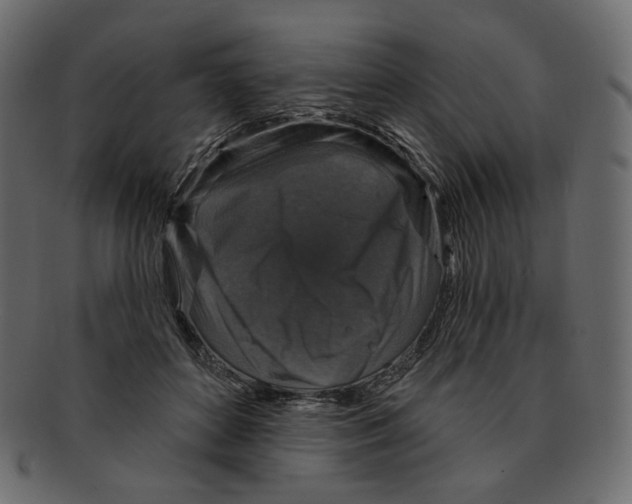 X0000091930504200710031101