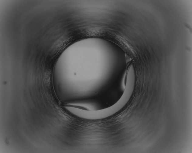 X0000091930505200710031101