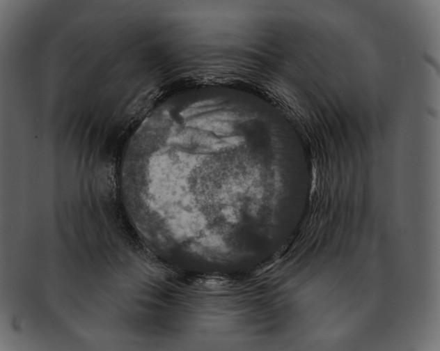 X0000091930506200710031101