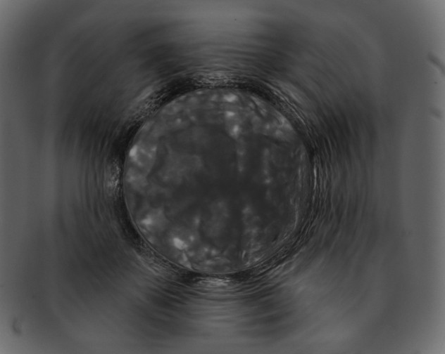 X0000091930507200710031101