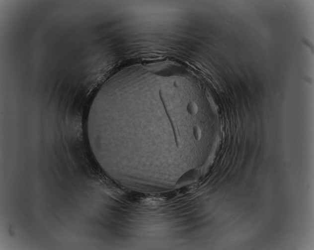 X0000091930508200710031101