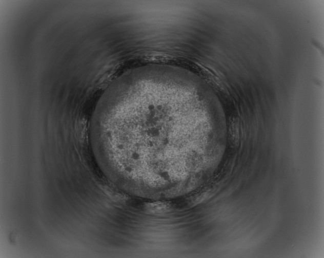 X0000091930511200710031101