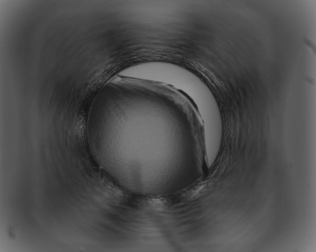 X0000091930513200710031101