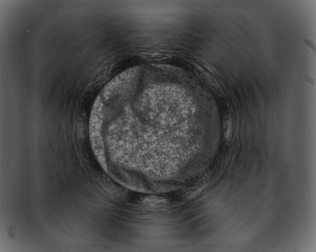 X0000091930515200710031101