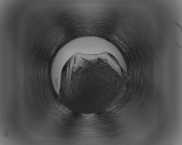 X0000091930516200710031101