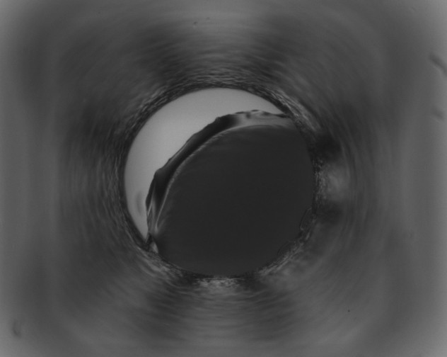 X0000091930517200710031101