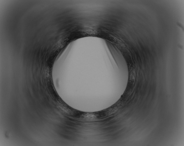 X0000091930518200710031101