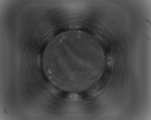 X0000091930519200710031101