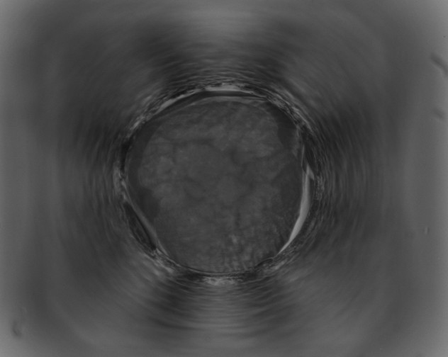 X0000091930520200710031101