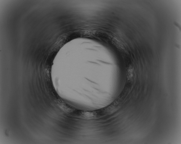 X0000091930522200710031101