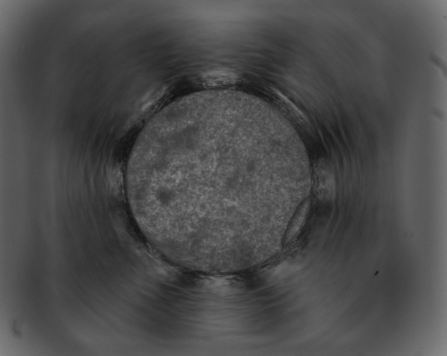 X0000091930523200710031101