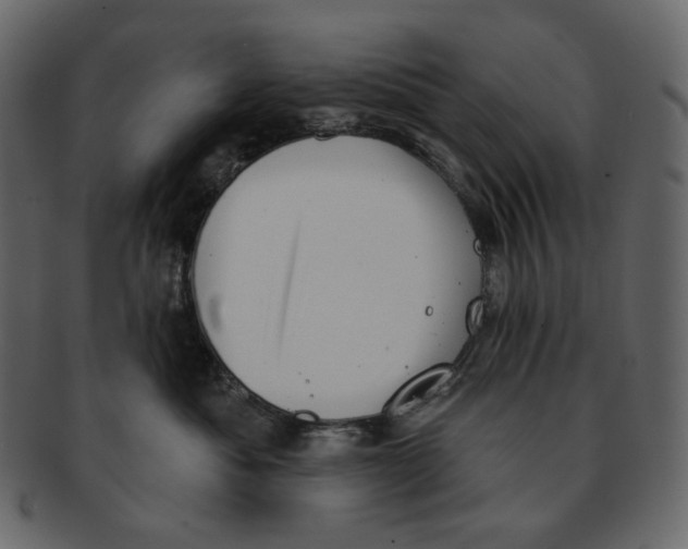 X0000091930525200710031101