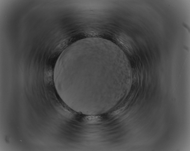 X0000091930526200710031101