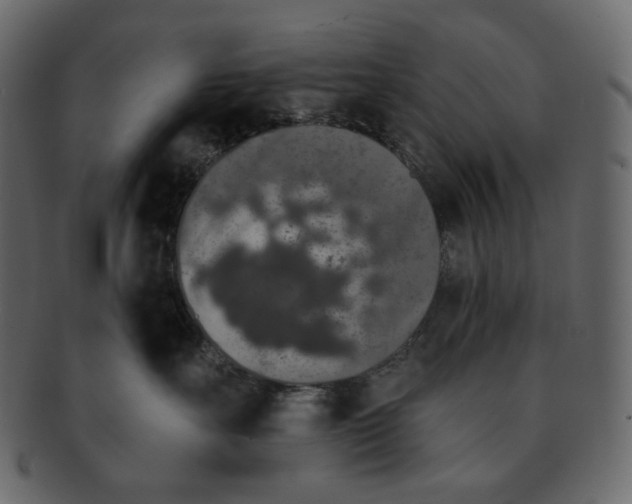 X0000091930527200710031101