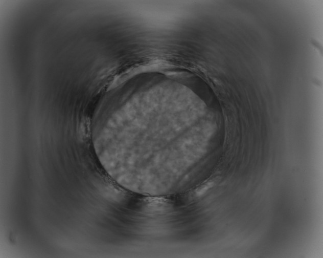 X0000091930528200710031101