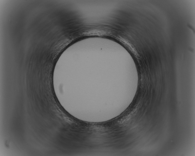 X0000091930529200710031100