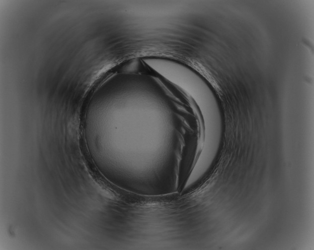 X0000091930530200710031100