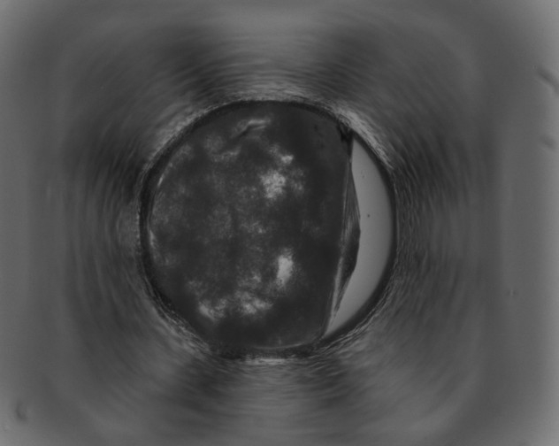 X0000091930531200710031100