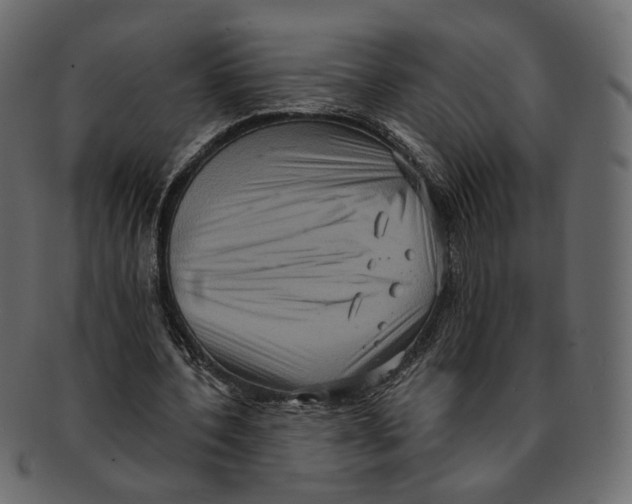 X0000091930532200710031100