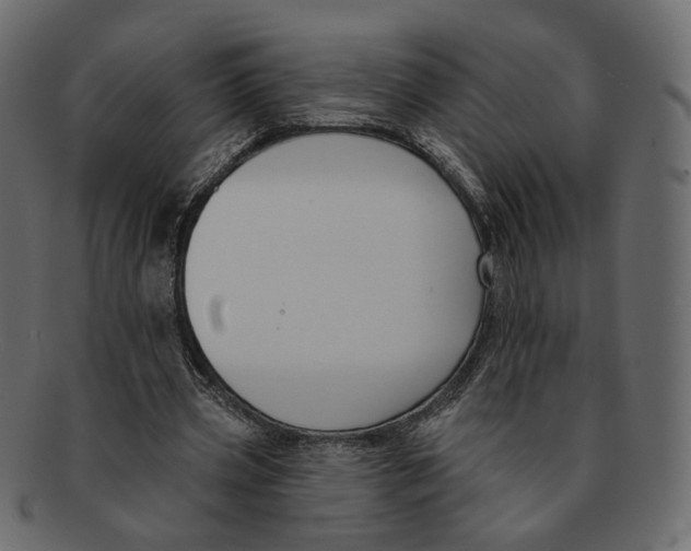 X0000091930533200710031100