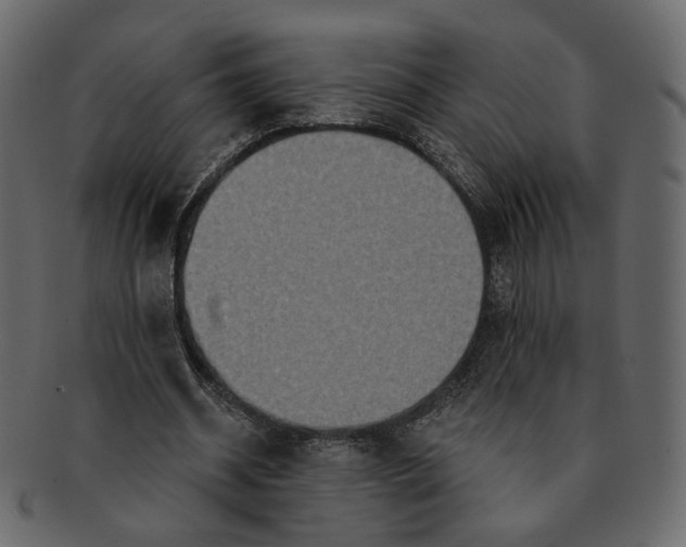 X0000091930534200710031100