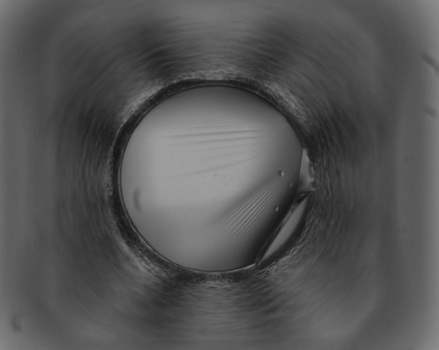 X0000091930536200710031100