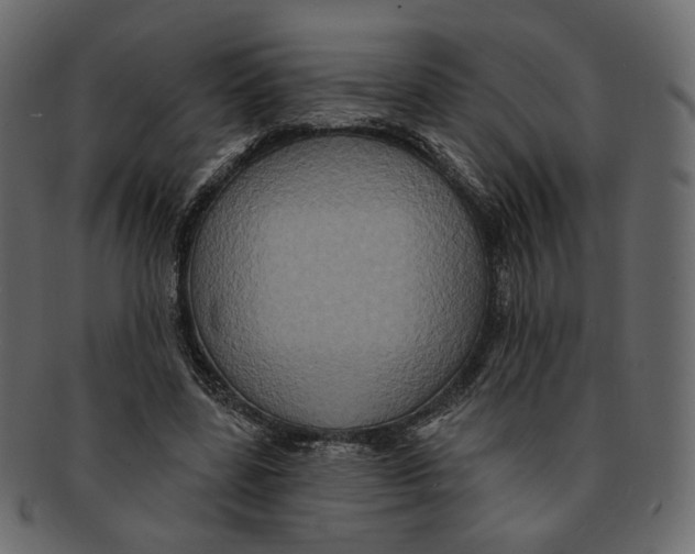 X0000091930539200710031100