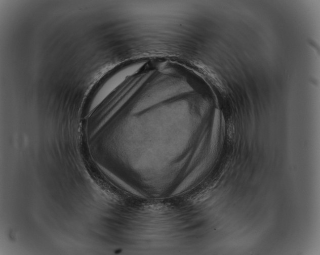 X0000091930540200710031100