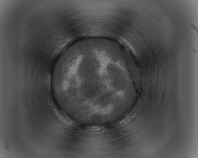 X0000091930542200710031101