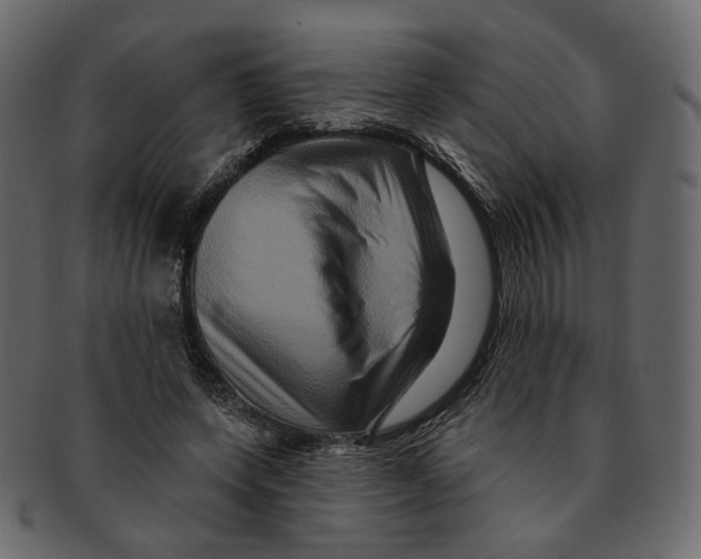 X0000091930543200710031101