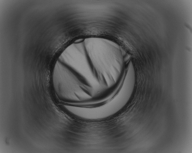 X0000091930544200710031101