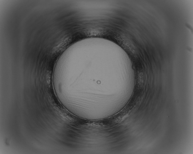 X0000091930545200710031101