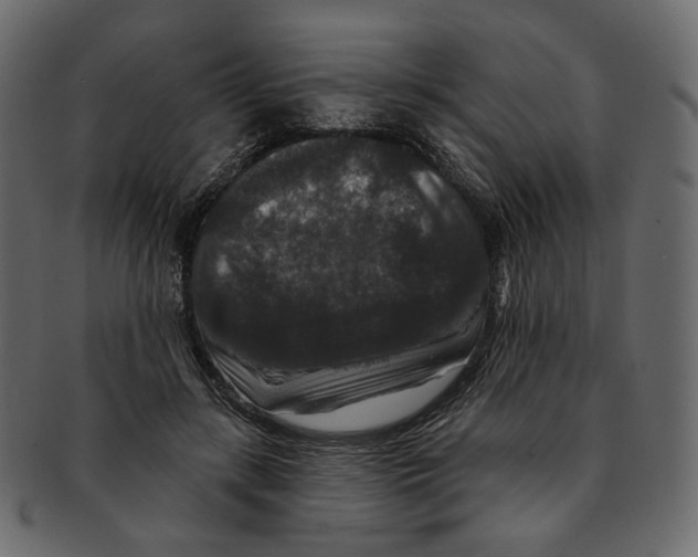 X0000091930547200710031101