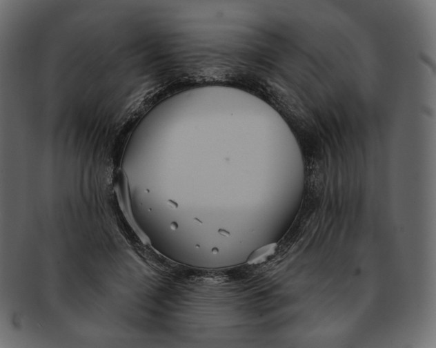 X0000091930548200710031101