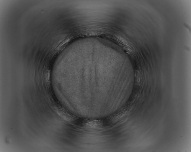 X0000091930550200710031101