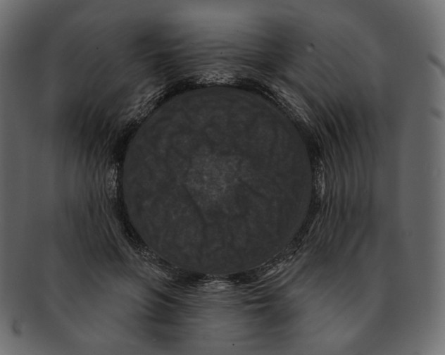 X0000091930551200710031101