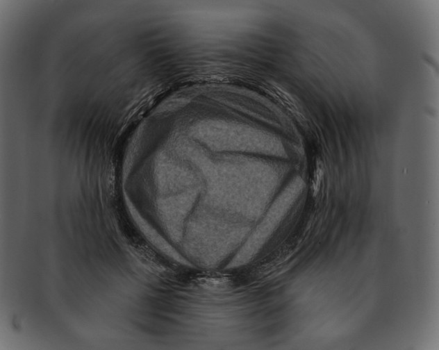 X0000091930552200710031101