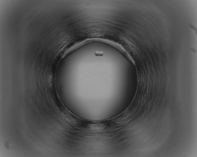 X0000091930556200710031101