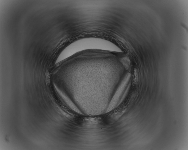 X0000091930558200710031101